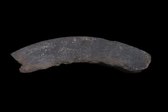 Image of Last Existence: Competitions