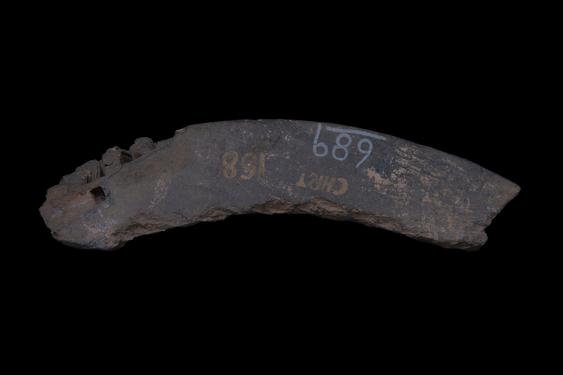 Image of Last Existence: Competitions