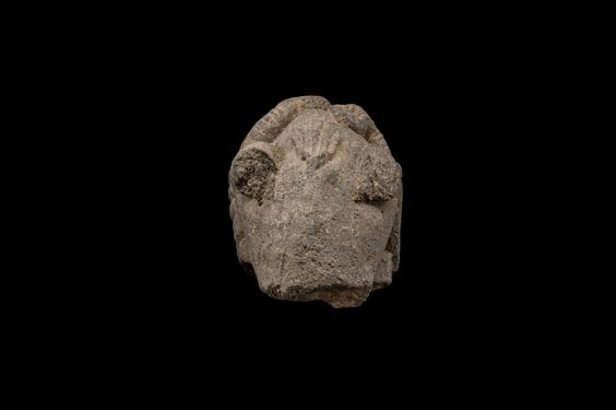 Image of Winged she-centaur