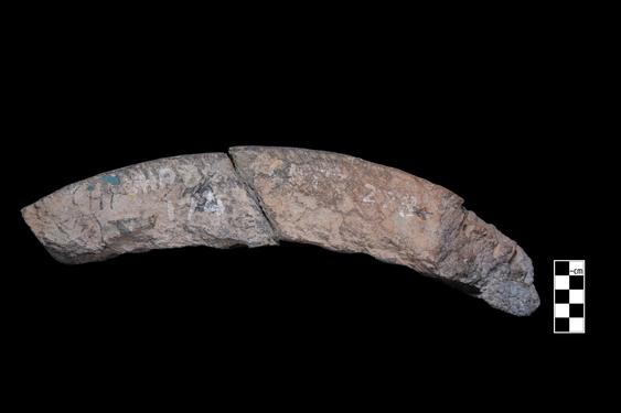 Image of Last Existence: Buddha performing a miracle before ascetics