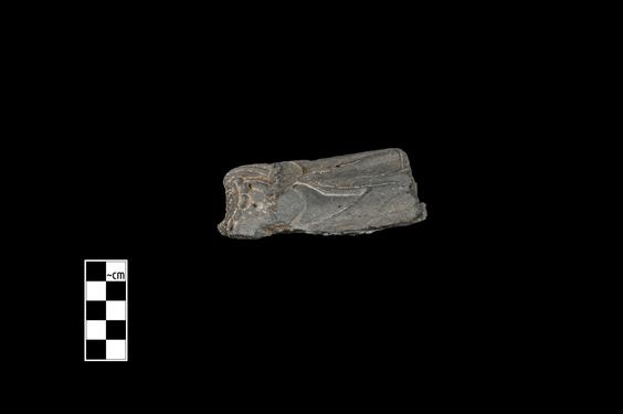 Image of Male figure