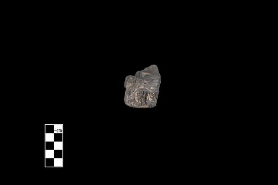 Image of Male figure