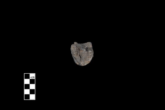 Image of Male figure