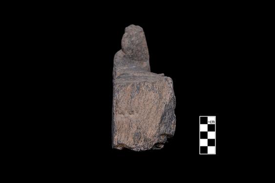 Image of Winged centaur