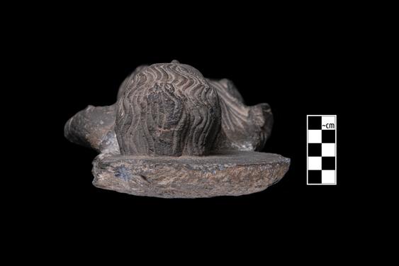 Image of Buddha; male devotee