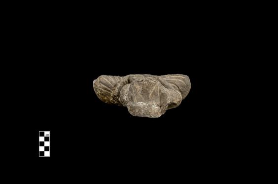 Image of Bodhisattva