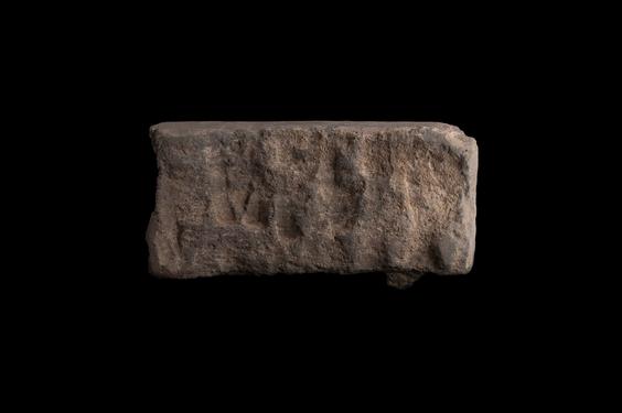 Image of Last Existence: Birth Cycle