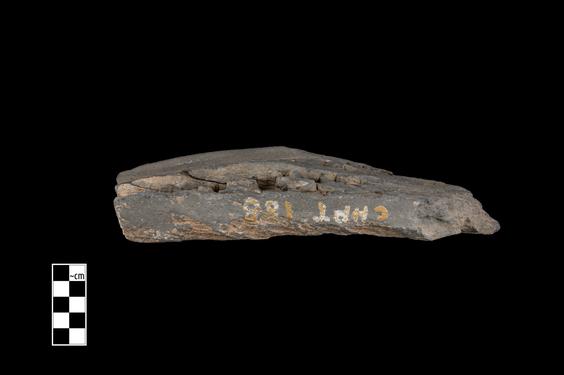 Image of Last Existence: Princely Life; male figures