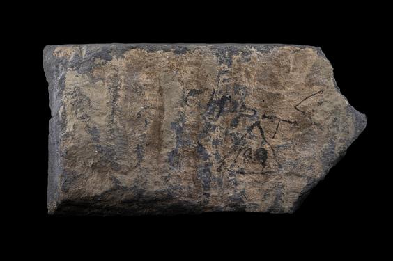 Image of Last Existence: Māyā's Dream