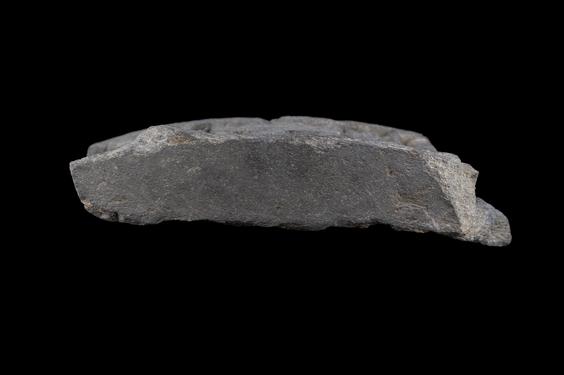 Image of Last Existence: Māyā's Dream