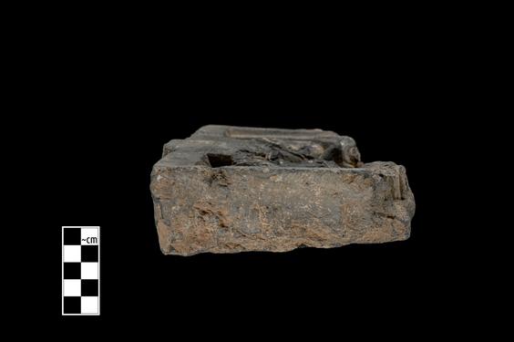 Image of Buddha and devotees