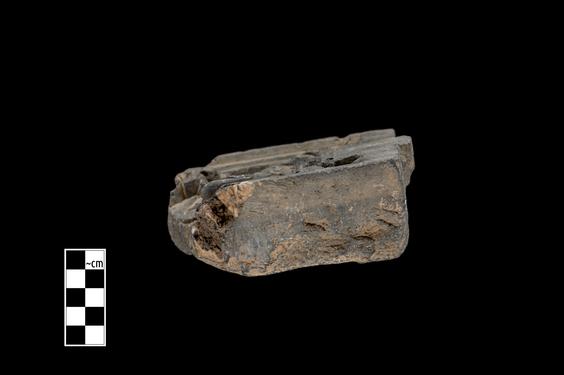 Image of Buddha and devotees