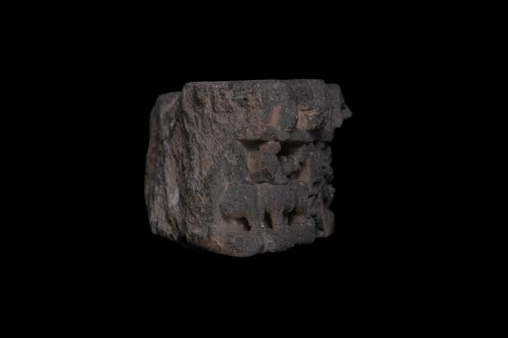 Image of Last Existence: Birth Cycle