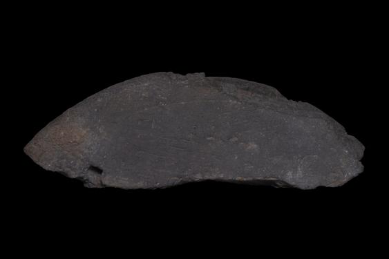 Image of Last Existence: Birth Cycle