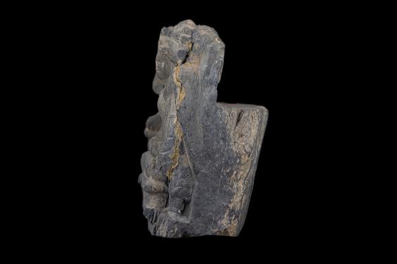 Image of Last Existence: The Gods entreat the Buddha to preach