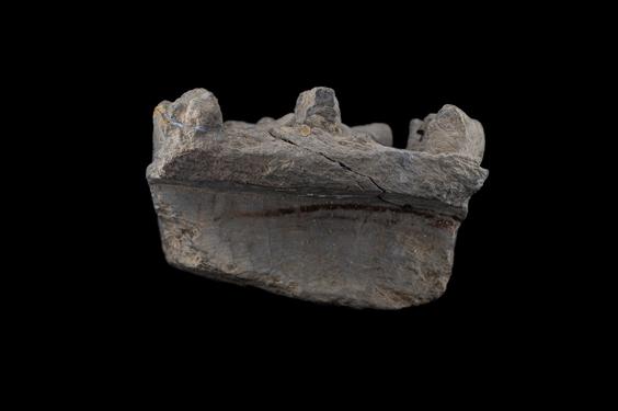 Image of Last Existence: The Gods entreat the Buddha to preach