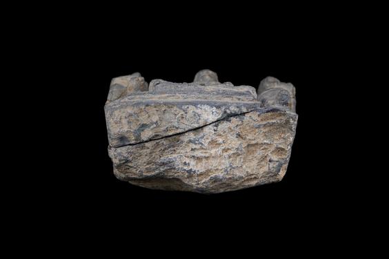 Image of Last Existence: The Gods entreat the Buddha to preach