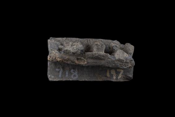 Image of Last Existence: Offering of Dust