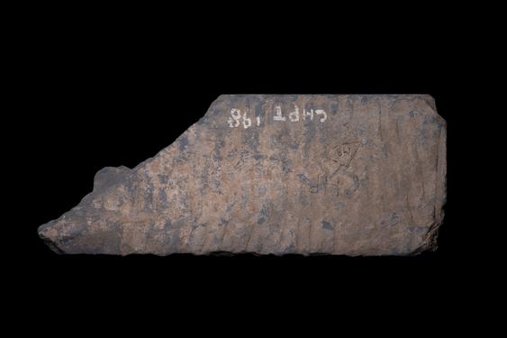 Image of Buddha and devotees