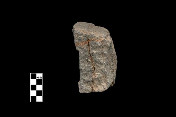 Image of Last Existence: Buddha's birth