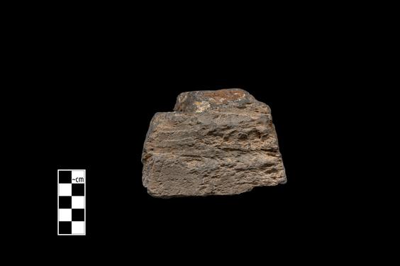 Image of Last Existence: Buddha's birth