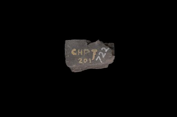 Image of Last Existence: Return to Kapilavastu or Bridal Procession