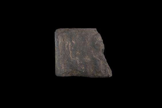 Image of Last Existence: Return to Kapilavastu or Bridal Procession