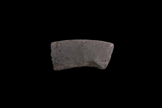 Image of Last Existence: Return to Kapilavastu or Bridal Procession