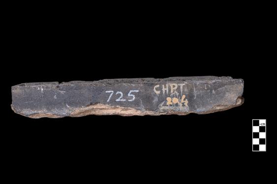 Image of Last Existence: Offering of Dust, Taming of the Elephant