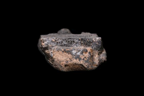 Image of Bodhisattva; Adoration of the Bowl