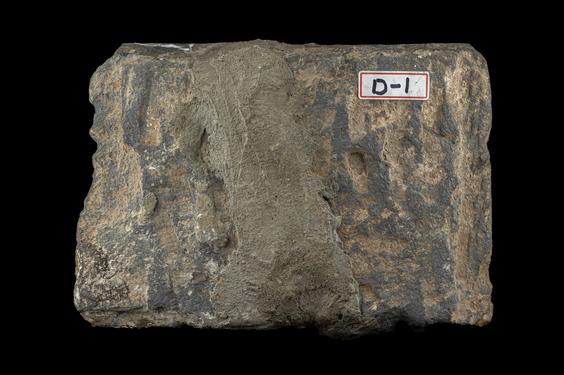 Image of Bodhisattva in Tuṣita Heaven