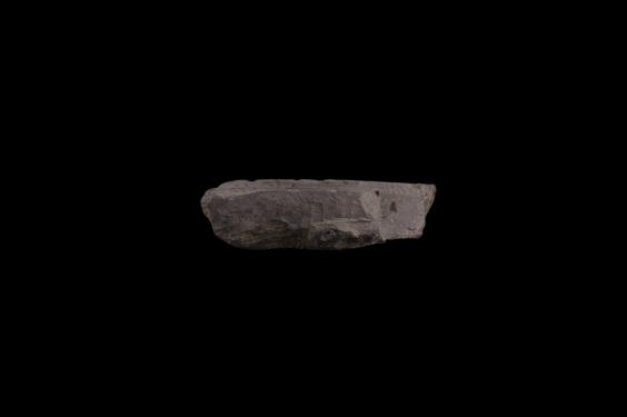 Image of Buddha and devotees