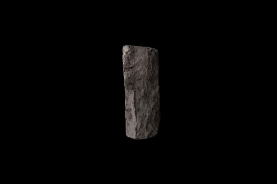 Image of Pipal branch