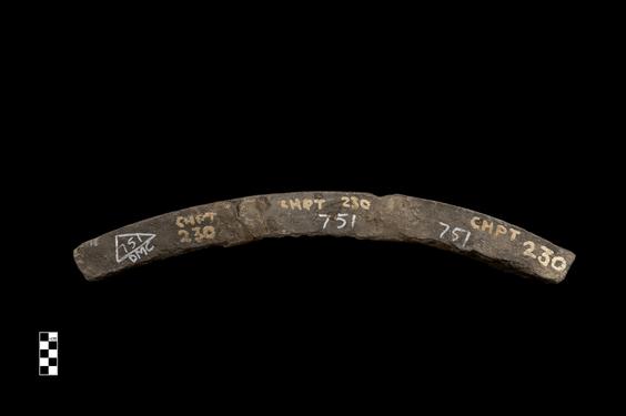 Image of Last Existence: Birth Cycle; female figures