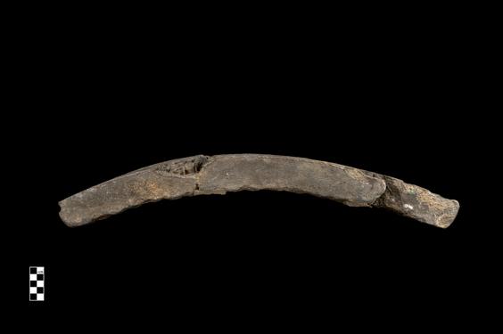 Image of Last Existence: Birth Cycle; female figures