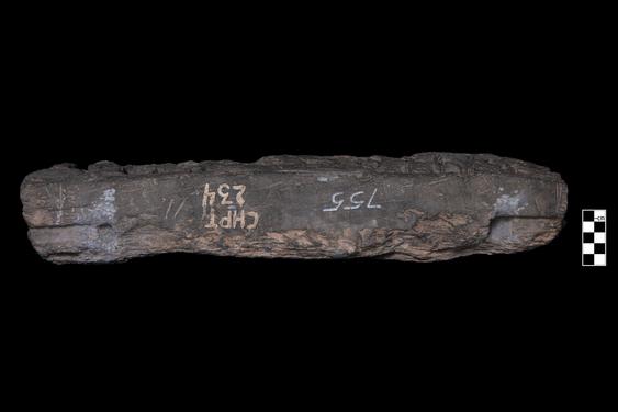 Image of Last Existence: Offering of Dust, Buddha performing a miracle before ascetics