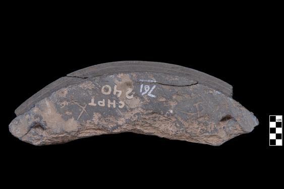 Image of Buddha and devotees