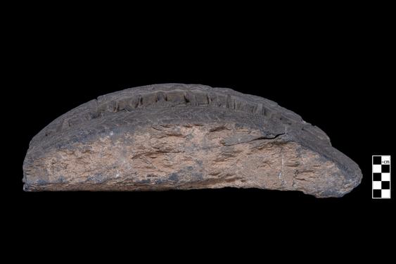 Image of Buddha and devotees