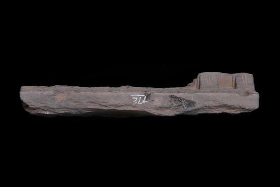 Image of Buddha and devotees