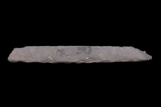 Image of Male figures