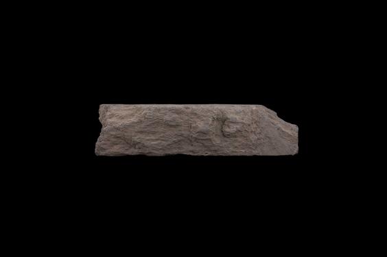 Image of Buddha and devotees