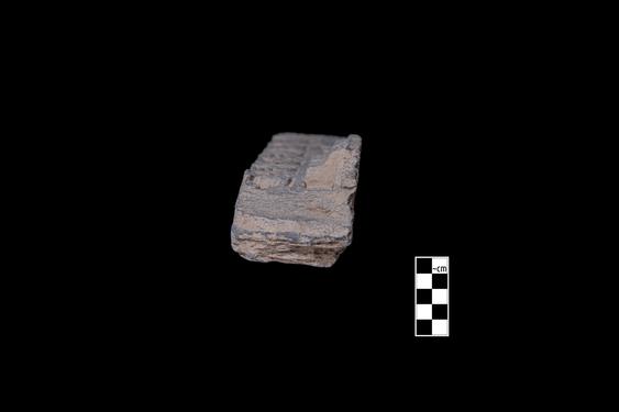 Image of Buddha and devotees