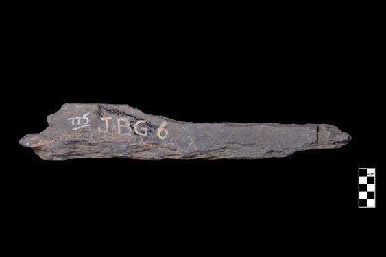 Image of Buddha and devotees