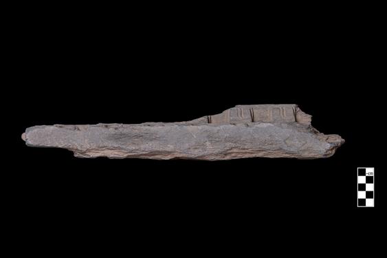 Image of Buddha and devotees