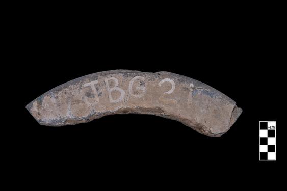 Image of Buddha and devotees