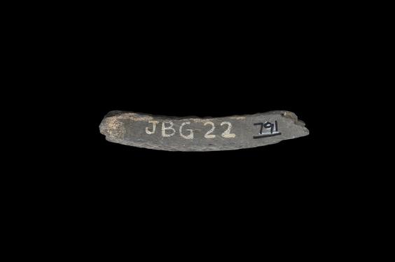 Image of Last Existence: Princely Life