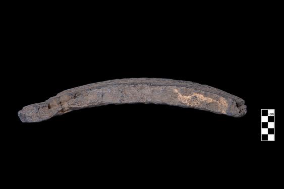 Image of Last Existence: Princely Life