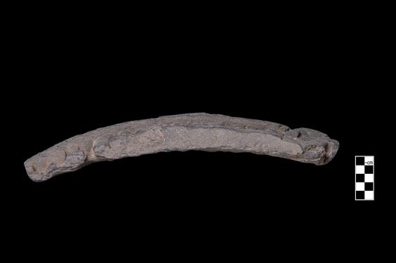 Image of Last Existence: Princely Life