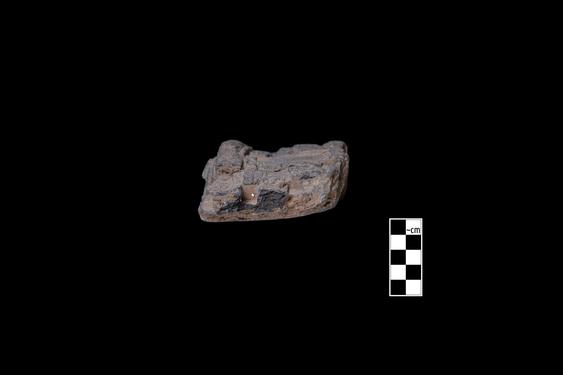 Image of Last Existence: Birth Cycle