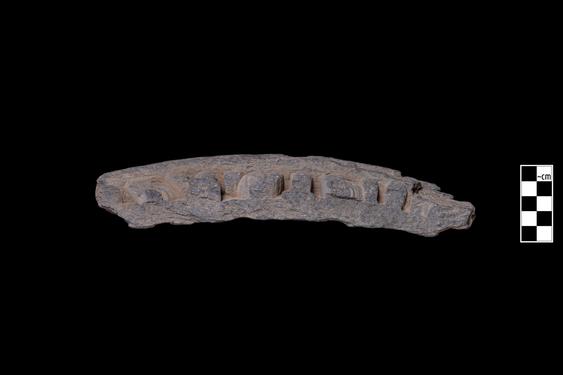 Image of Last Existence: Birth Cycle